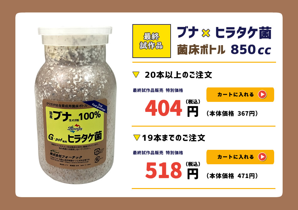 最終試作品「ブナ×ヒラタケ」菌糸ビン850cc　数量限定・お試し販売