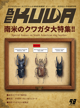 BE-KUWA クワガタ・カブト専門誌